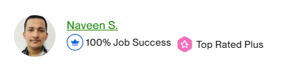 Naveen Singh - Senior Professional at CDMSoftech Solution, Top-Rated PLUS team on Upwork