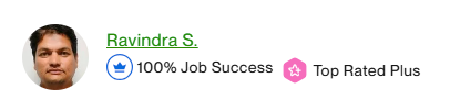 Ravindra Singh - Team Leader at CDMSoftech Solution, Top-Rated PLUS team on Upwork
